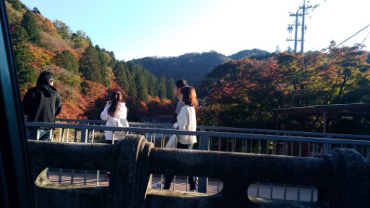 画像49